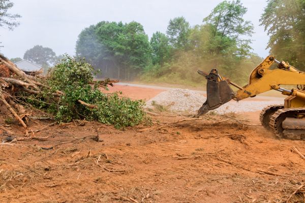 Ground Clearing in Camarillo