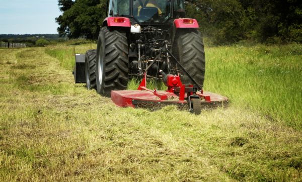 Brush Clearing Service in Camarillo