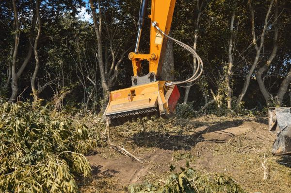 Brush Removal Service in Camarillo