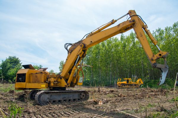 Cost of Farm Clearing in Camarillo