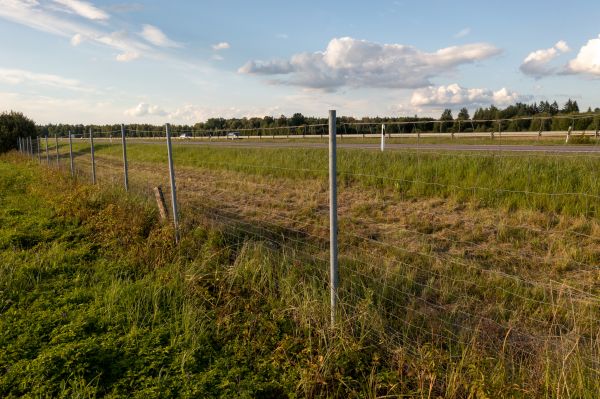 Cost of Property Line Clearing in Camarillo