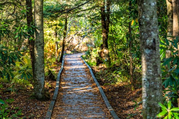 Cost of Trail Clearing in Camarillo