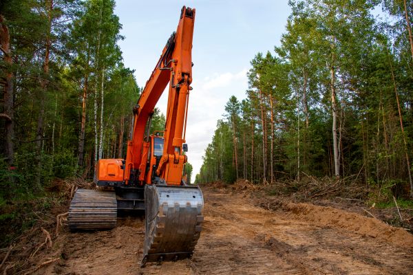 Cost of Backhoe Land Clearing in Camarillo