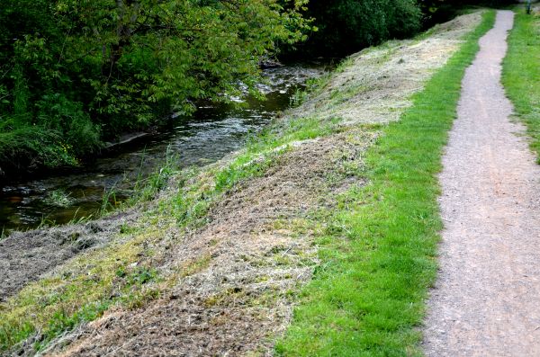 Cost of Trail Cutting in Camarillo